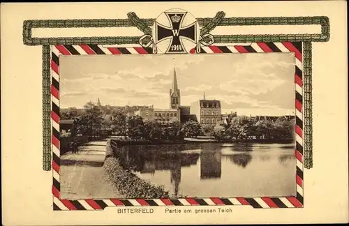 Passepartout Ak Bitterfeld in Sachsen Anhalt, Großer Teich, Kirche, Eisernes Kreuz 1914