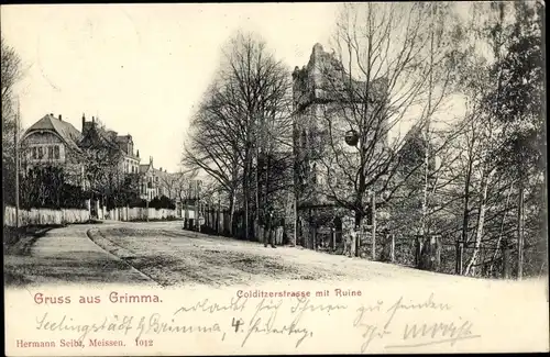 Ak Grimma in Sachsen, Colditzer Straße, Ruine