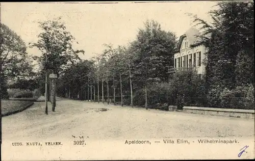 Ak Apeldoorn Gelderland, Villa Elim, Wilhelminapark