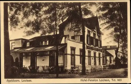 Ak Apeldoorn Gelderland, Loolaan, Hotel-Pension Loolaan