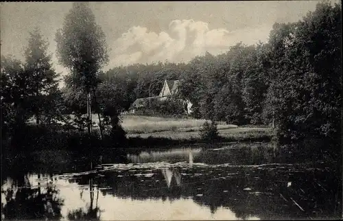 Ak Nienburg an der Weser, Oyler-Berg, Waldwirtschaft