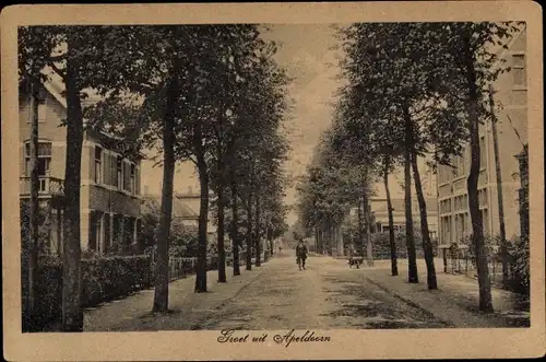 Ak Apeldoorn Gelderland, Straßenpartie, Allee