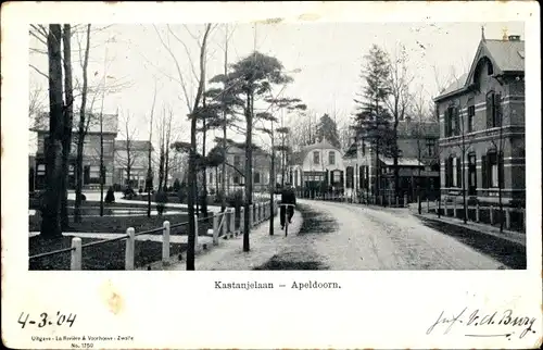 Ak Apeldoorn Gelderland, Kastanjelaan