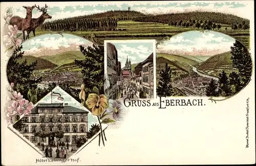 Litho Eberbach am Neckar Odenwald Baden, Panorama, Hotel Leininger Hof