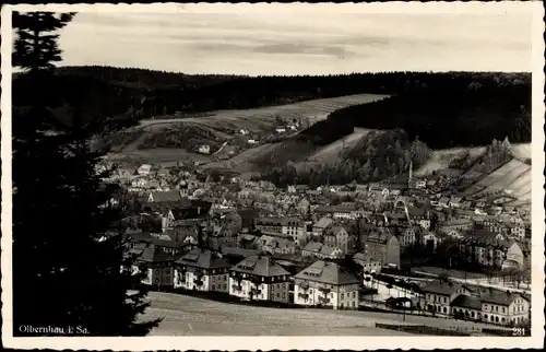 Ak Olbernhau im Erzgebirge, Panorama vom Ort