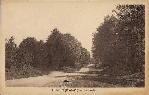 Ak Hesdin Pas de Calais, La Foret