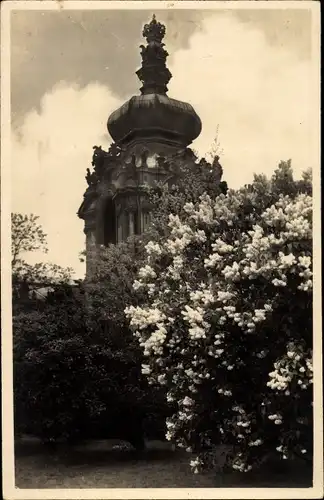 Ak Dresden Altstadt, Dresdner Zwinger