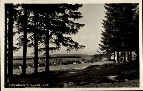Ak Wernitzgrün Erlbach im Vogtland, Totalansicht