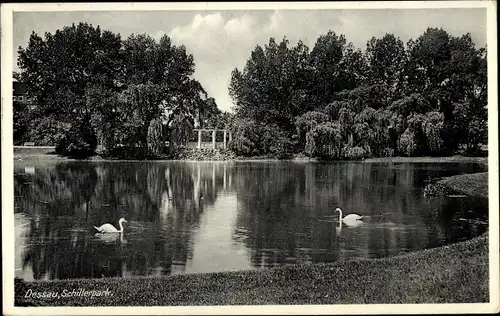 Ak Dessau in Sachsen Anhalt, Schillerpark, Teich, Schwäne