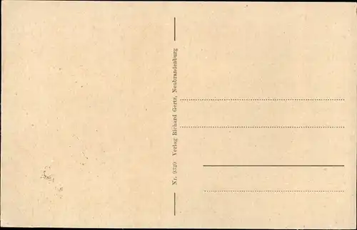 Ak Neubrandenburg in Mecklenburg, Neues Tor