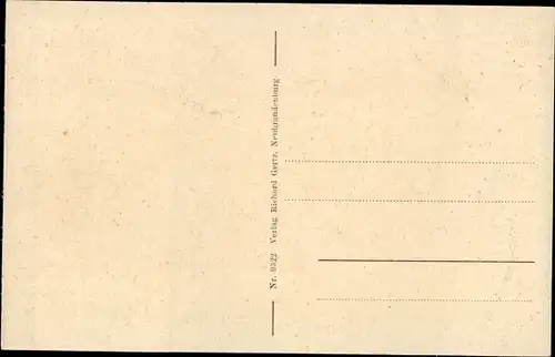 Ak Neubrandenburg in Mecklenburg, Friedländer Tor