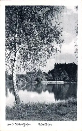 Ak Bad Wörishofen im Unterallgäu, Waldsee, Birke