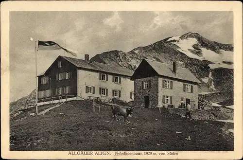 Ak Oberstdorf im Oberallgäu, Edmund Probst Haus, Nebelhornhaus, Kuh, Flagge