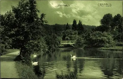 Ak Krefeld am Niederrhein, Stadtwald, Teich, Brücke, Schwäne