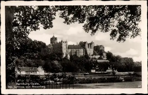 Ak Bernburg Saale, Schloss vom Rosenhag gesehen