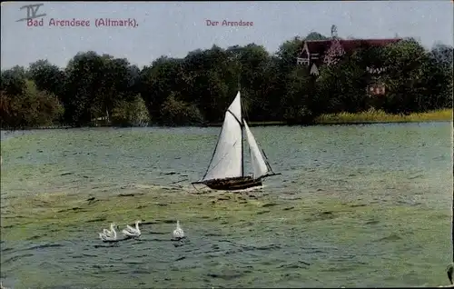 Ak Arendsee in der Altmark, der Arendsee, Segelboot, Schwäne