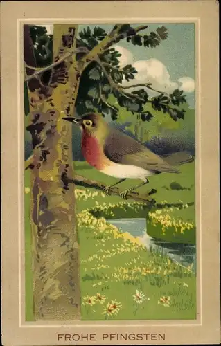 Präge Ak Glückwunsch Pfingsten, Vogel am Baum