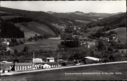 Ak Grimmenstein Niederösterreich, Gesamtansicht