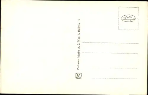 Ak Wien 1. Innere Stadt Österreich, Beleuchtetes Rathaus