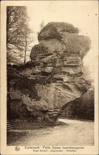 Ak Echternach Luxemburg, Route Berdorf, Vogelsmühle