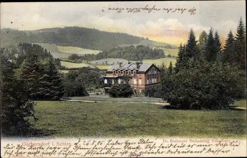 Ak Sokołowsko Görbersdorf Schlesien, Dr. Brehmers Heilanstalt Villa Rosa