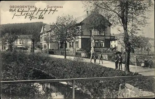 Ak Georgenthal in Thüringen, Querstraße, Wohnhäuser, Anwohner