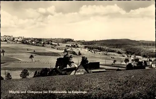 Ak Müglitz Altenberg im Erzgebirge, Panorama, Gottgetreu