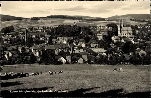 Ak Schirgiswalde in Sachsen, Totalansicht, Kühe