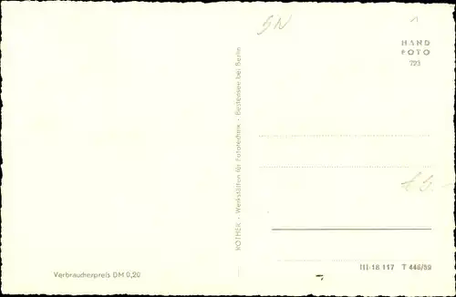 Ak Schirgiswalde in Sachsen, Totalansicht, Kühe
