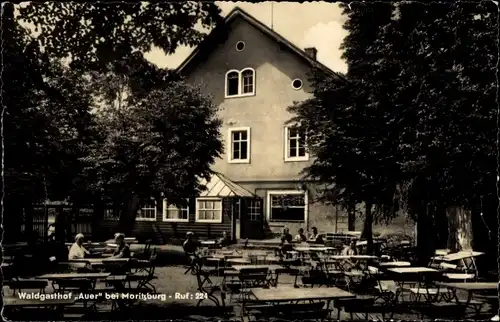 Ak Moritzburg in Sachsen, Waldgasthof Auer, Terrasse