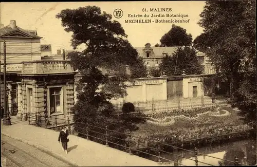 Ak Mechelen Mechelen Flandern Antwerpen, Botanischer Garten