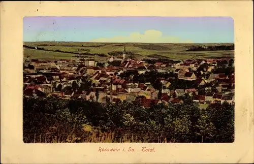 Ak Roßwein in Sachsen, Panorama