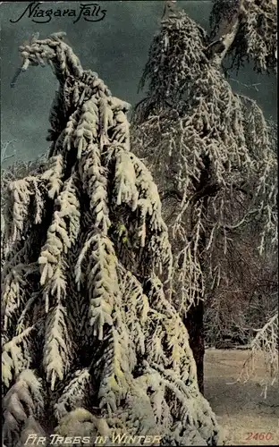 Ak Niagara Falls New York USA, Tannenbäume im Winter