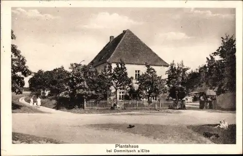 Ak Dommitzsch an der Elbe, Ansicht vom Plantshaus, Walter Köring