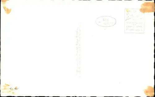 Ak Mödling in Niederösterreich, Panorama, Ruine, Burg