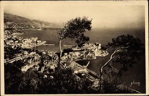 Ak Monte Carlo Monaco, Gesamtansicht