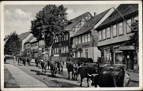 Ak Benneckenstein Oberharz am Brocken, Viehtrieb durch den Ort, Kronprinz, Café