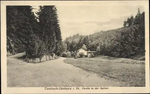 Ak Tambach Dietharz in Thüringen, in der Spitter