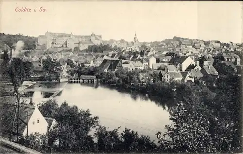 Ak Colditz in Sachsen, Ortsansicht