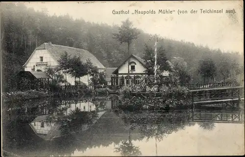 Ak Eisenberg in Thüringen, Mühltal, Naupoldsmühle, Teichinsel