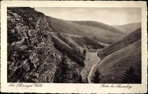 Ak Schwarzburg in Thüringen, Panorama