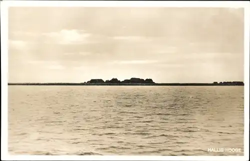 Ak Hallig Hooge in Nordfriesland, Gesamtansicht