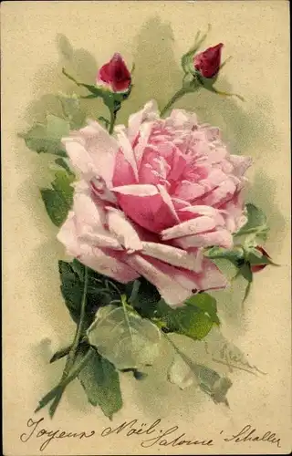 Künstler Litho Klein, C., Blühende Rose