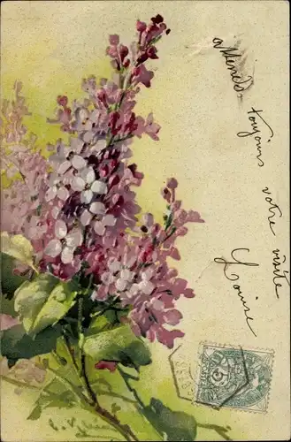 Künstler Litho Klein, Catharina, Blühende Blumen
