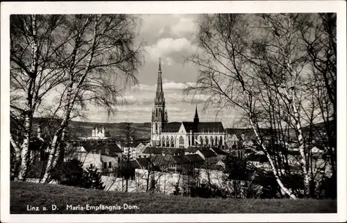 Foto Ak Linz Donau Oberösterreich, Blick auf den Mariendom