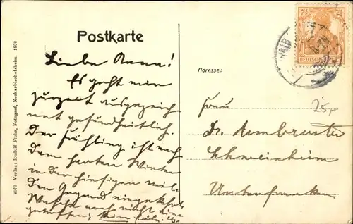 Ak Waibstadt in Baden, Sommerfest 29. März 1908, Festgesellschaft, Denkmal