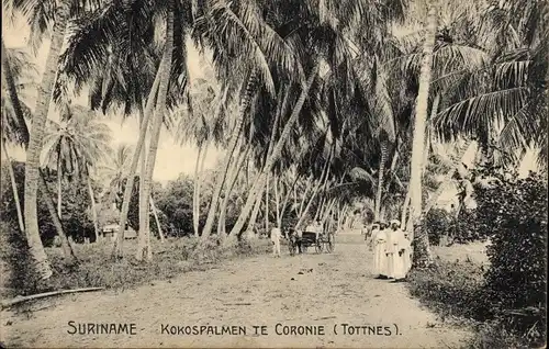 Ak Suriname, Kokospalmen, Corinie, Tottnes