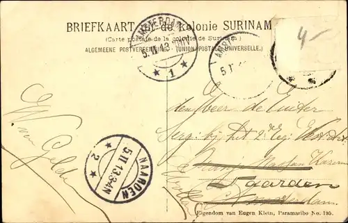 Ak Suriname, Kokospalmen, Corinie, Tottnes