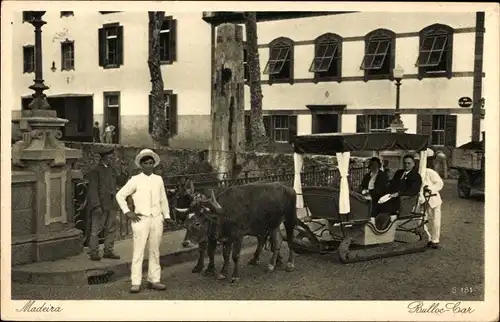 Ak Insel Madeira Portugal, Bulloc Car