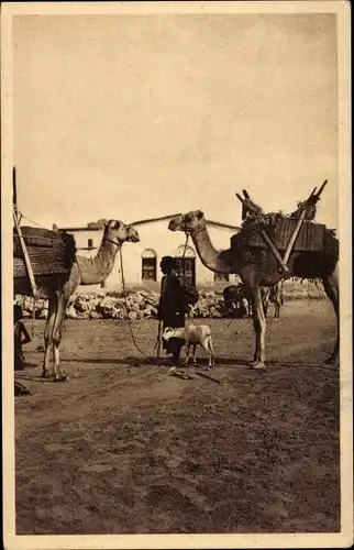 Ak Djibouti Dschibuti, Depart pour la Brousse, Mann mit Kamelen und Ziege